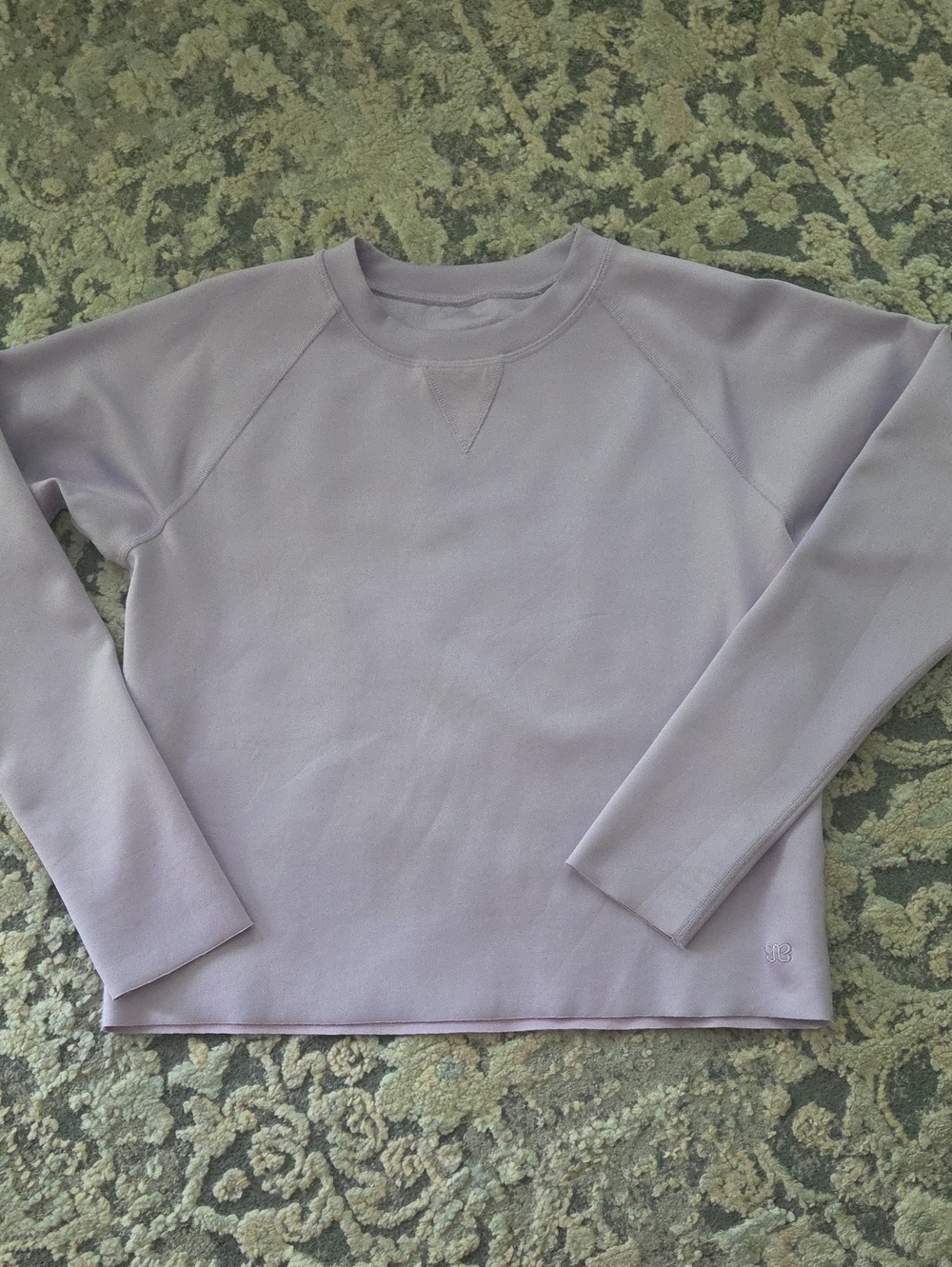 Albion Fit Neo Lavender Crewneck Sweatshirt